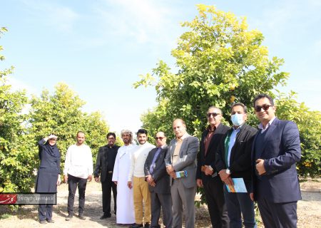 دیدار هیات تجاری کشور عمان از جیرفت