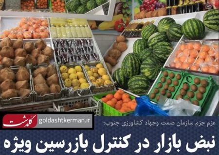 نبض بازار جنوب کرمان در کنترل بازرسین ویژه