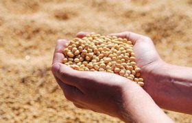 یارانه دولت برای تأمین نهاده‌های دامی کفایت نمی‌کند/ امهال وام‌های کشاورزی سال ۹۶ تا ۱۴۰۰
