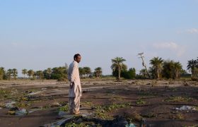 خسارت ۴۰۰ میلیارد تومانی سیل و سرما به کشاورزی جنوب کرمان