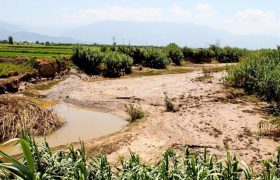 خسارت سیل به مزارع کشاورزی و گلخانه‌های جیرفت