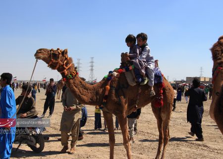 جشنواره ملی شتر (طلای بیابان) در قلع گنج